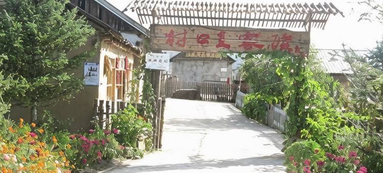 漠河村口王家院图片