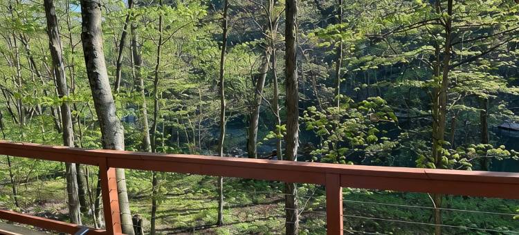 宾州贝德福德县河畔绝美树屋,(Spectacular Riverfront Treehouse in Beautiful Bedford County, PA,)图片