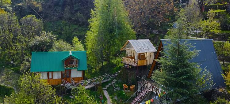 Himalayan Manor A-Frame Cabin图片