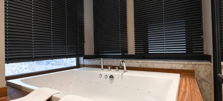 安卡拉皇冠假日酒店(Crowne Plaza ANKARA by IHG)图片