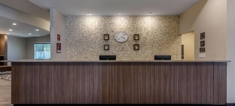 罗德岱尔堡机场-邮轮码头舒适套房酒店(Comfort Suites Fort Lauderdale Airport & Cruise Port)图片