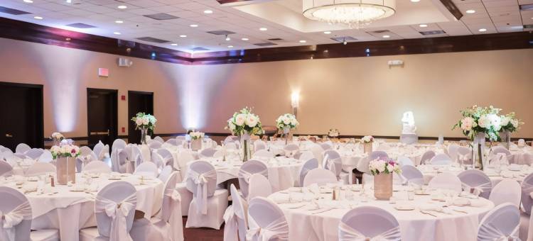 Holiday Inn 扬斯敦南(博德曼)(Holiday Inn YOUNGSTOWN-SOUTH (BOARDMAN) by IHG)图片