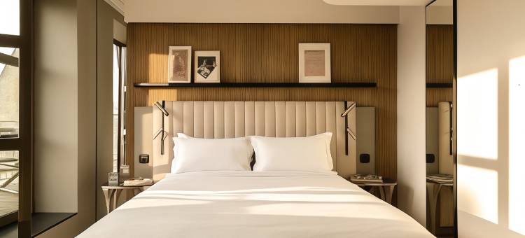 巴黎左岸艺术女士酒店(Hotel Dame des Arts)图片