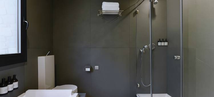NH精选安道尔帕洛玛酒店(NH Collection Palome Andorra)图片