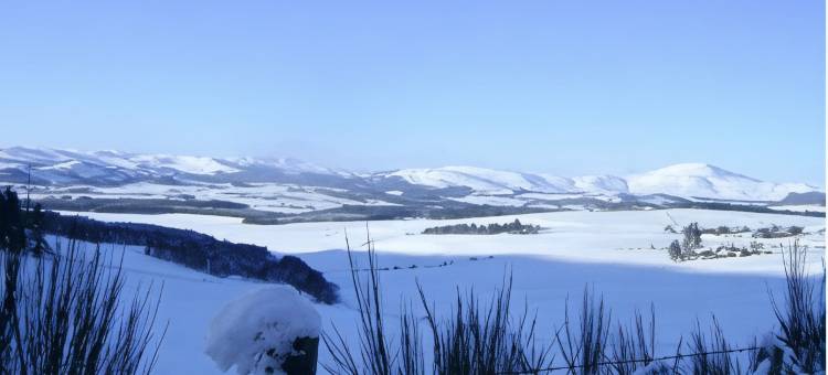 商务酒店(The Commercial Hotel)图片
