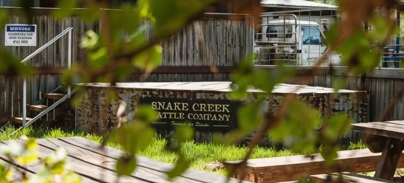 皇家酒店曼达拉马(Royal Hotel Mandurama)图片