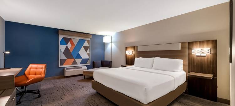 智选假日套房酒店村(Holiday Inn Express & Suites the Villages)图片