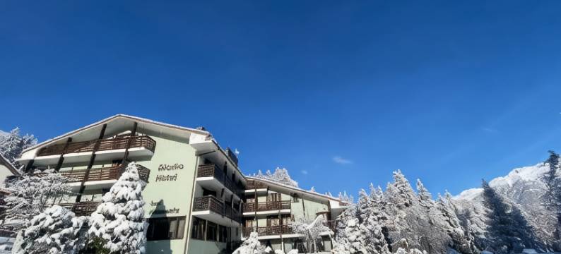 阿拉斯加酒店(Hotel Alaska)图片