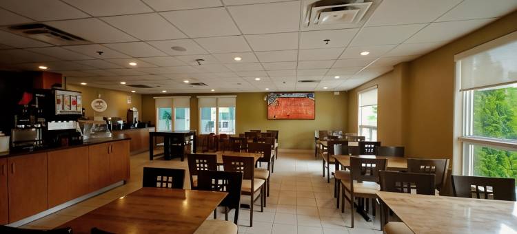 米德兰速8酒店(Super 8 by Wyndham Midland)图片