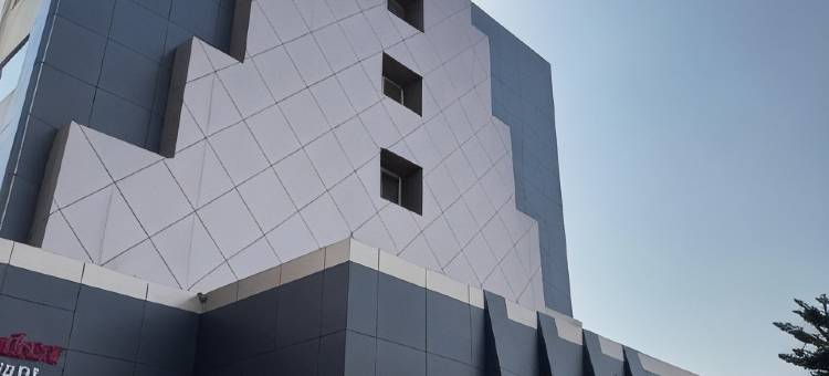 安格莱什沃尔洛德广场酒店(Lords Plaza Ankleshwar)图片