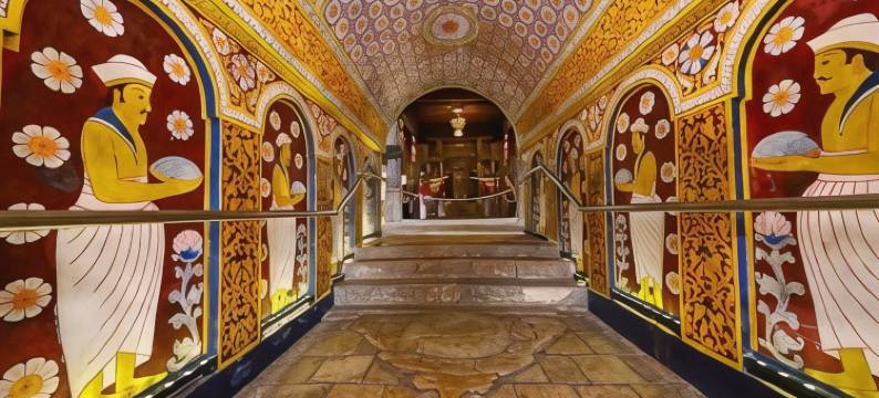 迦叶狮子岩酒店(Kassapa Lions Rock)图片