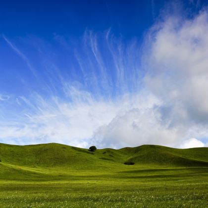 内蒙古呼和浩特+希拉穆仁草原+响沙湾5日4晚私家团