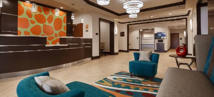 艾希顿贝斯特韦斯特精品套房酒店(Best Western Premier Ashton Suites-Willowbrook)图片