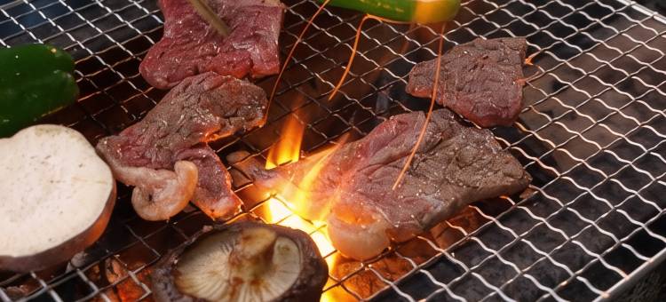 紫丁香酒店&度假村(Lilac Hotels and Resort)图片