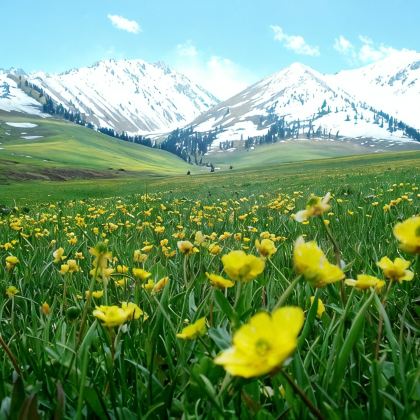 新疆乌鲁木齐+阿勒泰市+那拉提旅游风景区9日8晚私家团