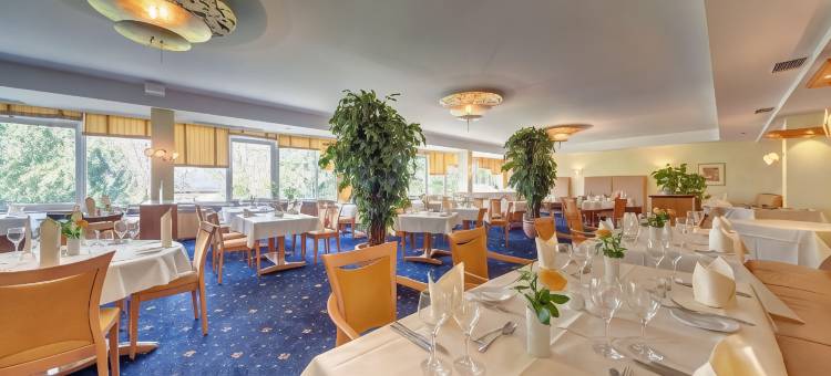 斯腾斯伽藤贝斯特韦斯特优质酒店(Best Western Plus Hotel Steinsgarten)图片