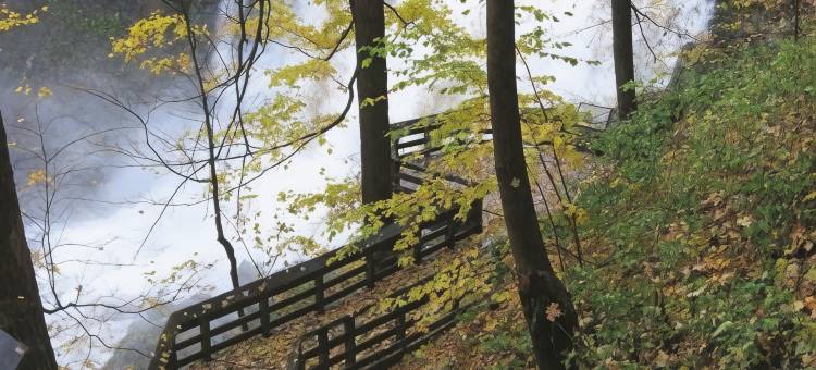 马其顿丽怡酒店(Country Inn & Suites by Radisson, Macedonia, Oh)图片