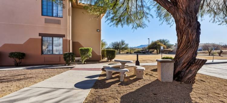 本森卡切内岩洞舒适酒店(Comfort Inn Benson Near Kartchner Caverns)图片