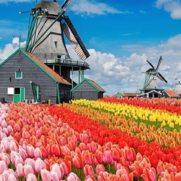 荷兰+比利时+法国10日私家团