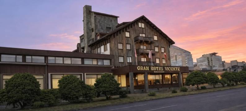 比森特科斯塔内拉大酒店(Gran Hotel Vicente Costanera)图片