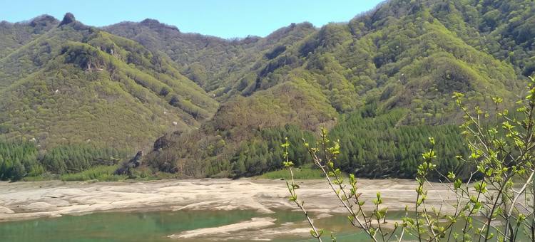 本溪县梵溪温泉民宿图片