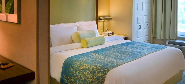 锡拉丘兹卡里尔环岛万豪SpringHill酒店(SpringHill Suites Syracuse Carrier Circle)图片