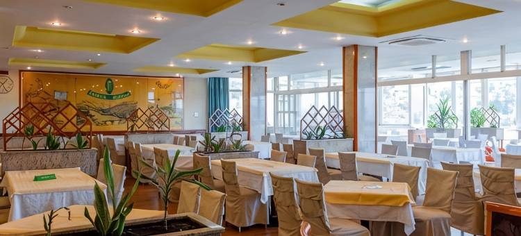 萨拉杰酒店(Hotel Saraj)图片