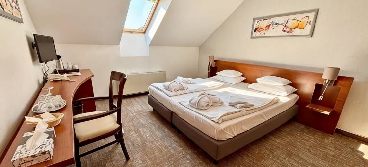 泽尼特巴拉顿酒店(Zenit Wellness Hotel Balaton)图片