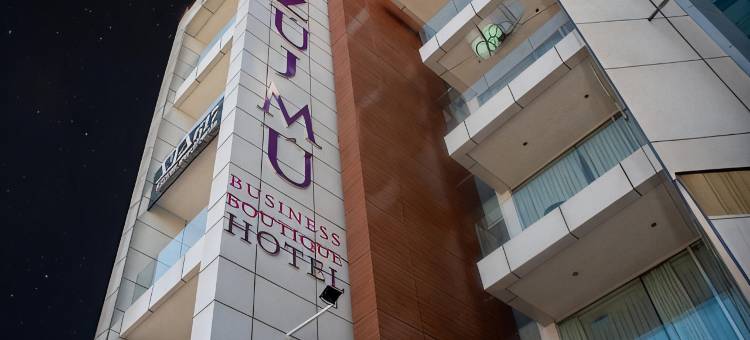 尊马商务精品酒店(Zújmú Business Boutique Hotel)图片