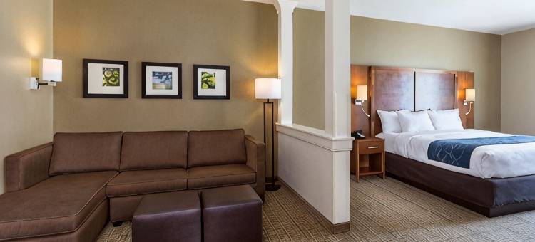 哈特维尔北坎顿舒适套房酒店(Comfort Suites Hartville-North Canton)图片