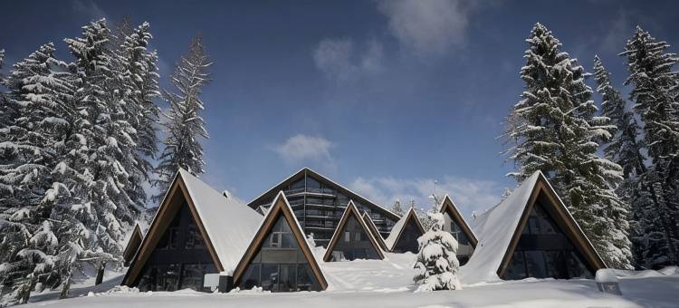 TRIFORÊT阿尔卑斯.resort(TRIFORET Alpin.Resort)图片