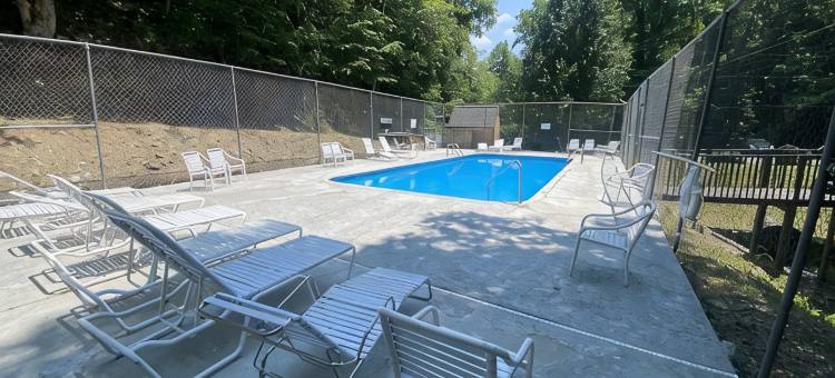 大雾山无障碍友好度假屋！180°视野，配有3个带顶棚门廊(Mobility Friendly Smoky Mountain Vacation Rental! 180° Views, 3 Covered Porches)图片