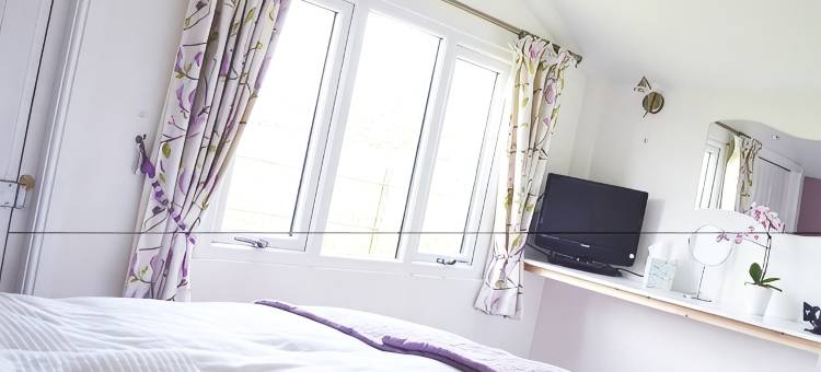 奎丘丹斯通鸽子草原民宿(Quixhill - Denstone - Dove Meadow B & B)图片