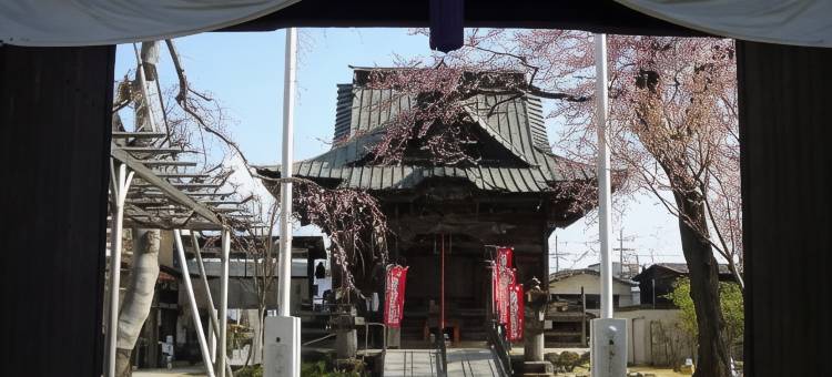高崎站前广场酒店(Takasaki Ekimae Plaza Hotel)图片