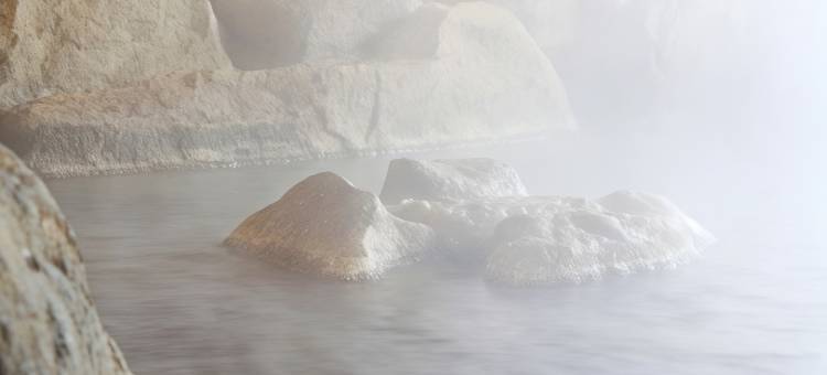 蒙古村腾格尔酒店(Mongolia Village Tenger)图片