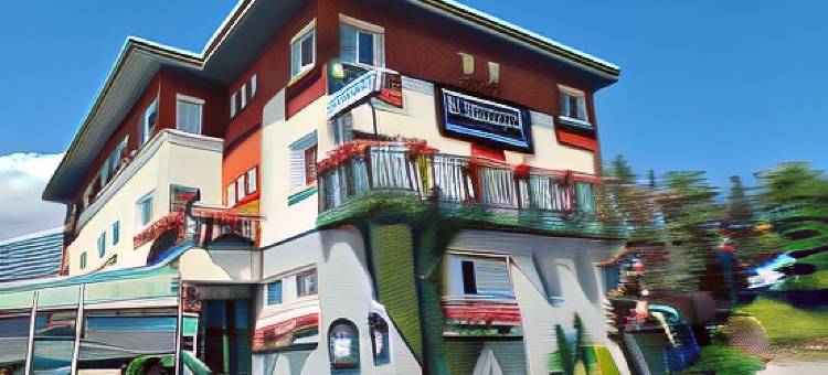 罗格斯艾登拉克酒店(Logis Hotel Eden Lac)图片