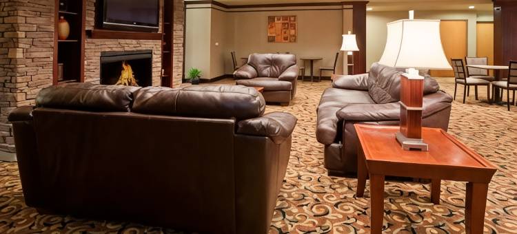 斯特吉斯美吟温德姆套房酒店(Baymont Inn & Suites by Wyndham Sturgis)图片