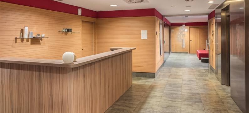 费尔南多二世国王欧元高级酒店(Eurostars Rey Fernando)图片