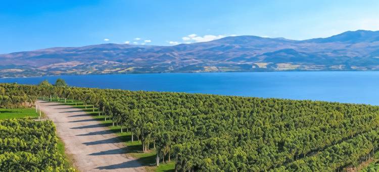 冈萨雷斯温德姆戴斯套房酒店(Days Inn & Suites by Wyndham Gonzales TX)图片