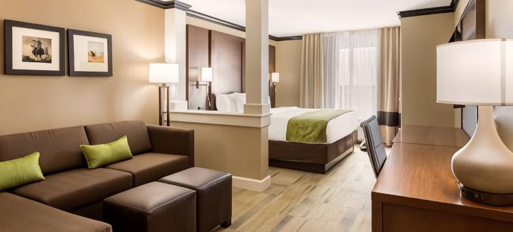 舒适套房酒店(Comfort Suites)图片