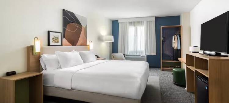 希尔顿Spark阿宾登岛I-81近展览场(Spark by Hilton Abingdon I-81 Near Fairgrounds)图片