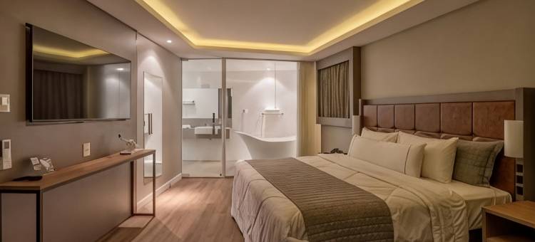 卡尤瓦布卢梅瑙酒店(Hotel Caiuá Blumenau)图片