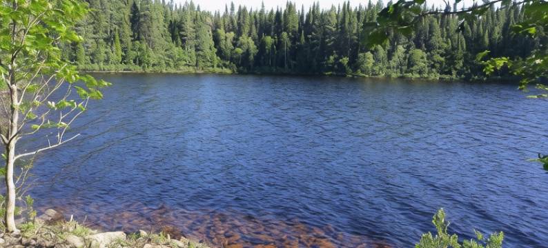 Résidence Touristique Lodge des Bois图片