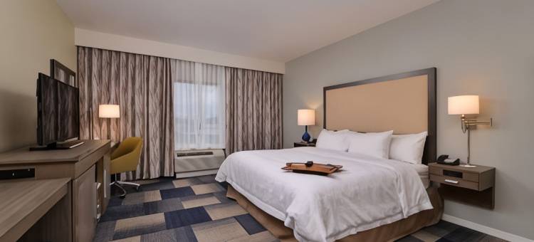 布鲁萨尔拉斐特欢朋酒店(Hampton Inn Broussard-Lafayette Area)图片