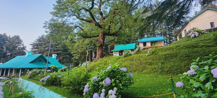 Forest Vibes Kalatop Rooms Restaurant图片