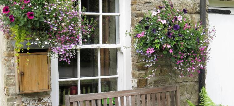 东景民宿(Eastview Bed and Breakfast)图片