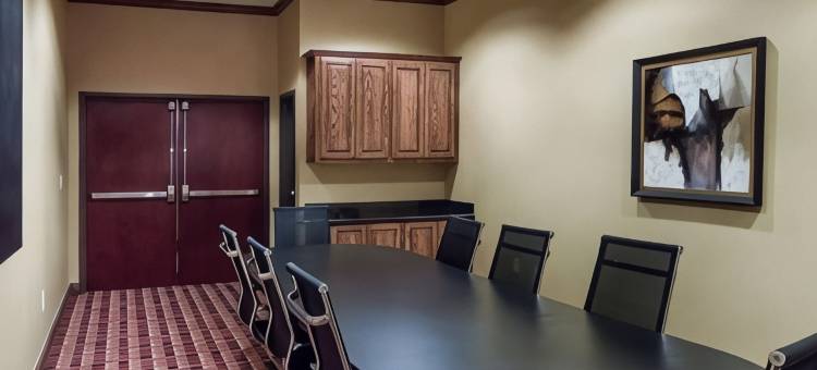 蒙那汉斯 I-20 舒适套房酒店(Comfort Inn & Suites Monahans I-20)图片