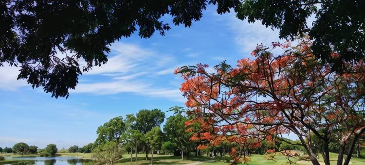 优利高尔夫度假村(Uniland Golf & Resort)图片