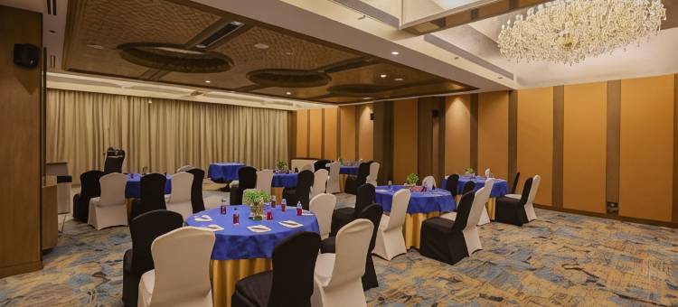 浦那荣耀酒店(Pride Hotel Pune)图片