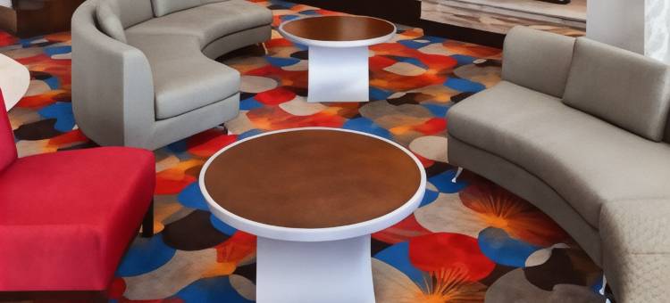 Fairfield Inn & Suites Houston North/Spring图片